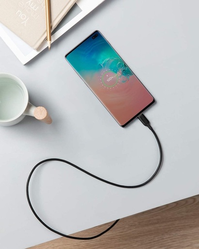 [ET1012] أنكر باورلاين III كابل USB-C إلى USB-C 2.0 3 قدم أسود